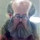 Harry Ohlsen's profile photo
