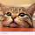Reload's profile photo