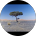 Joshua Tree comment image