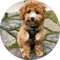 Profile photo of kathy white