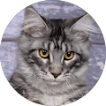 Avatar de lucky.o