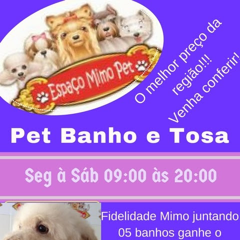 Ermelino Matarazzo - Ceo — foto 4