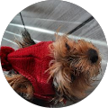 Avatar de Karine.e