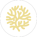 Shiatsu Judith Mayer - Heilpraktikerin für Shiatsu, Somatic Experiencing - Ettenheim