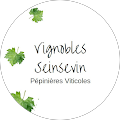 Avis de Vignobles.e avec une note de 5 sur 5