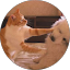 にっぽり