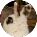 Avatar de Rogriguez.o