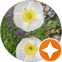 Maxiskippy Maxiskippy