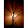 Naveen Jampala's profile photo