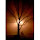 Naveen Jampala's profile photo