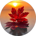 Daspit Law Firm - Memphis, Tennessee