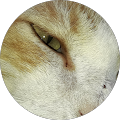 Avatar de Sylvie.r