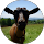 Mari D profile picture