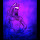 Pal-7's profile photo