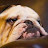 Review's profile picture
