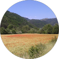 Banque Populaire Auvergne Rhône Alpes - Rives