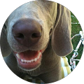 Avatar de Pierre.e