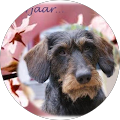 Storage Share | Opslagruimte Dieren - Dieren