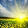 Yvonne Dawson's profile photo