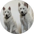 Veth Tax Services, Inc - Bonita, California