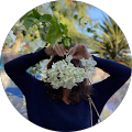 Avatar de Perrine.u