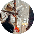 Image Graphics - Evart, Michigan