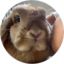 グリコ profile picture