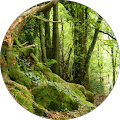 Horsfield & Smith Chartered Accountants, Tax & Business Advisers - Bury