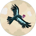 Avatar de Valérie.M