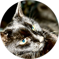 Avatar de DUFFOUR.E