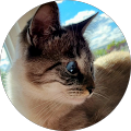 Avatar de Christine.e