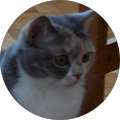 Avatar de Antoine.o