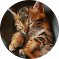 Avatar de Charlie.H