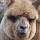 Piotr "pete" Dobrowolski's profile photo