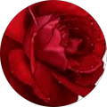 Avatar de Patricia.e