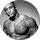 dinesh dissanayaka profile picture