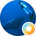 Sharkmaid