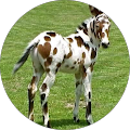 Avatar de Frédérique.i