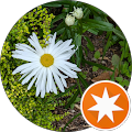 Humber Bridge Garden Centre - Barton-upon-Humber