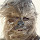 Julien Signo's profile photo
