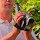 banionis@bol's profile photo