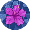 Avatar de Ophélie.e