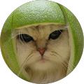 Avatar de Véronique.o