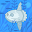 a random sunfish main