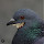 alphaw...@gmail.com's profile photo