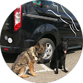 Westoverledinger Hundebreitensport Club e.V. - Westoverledingen