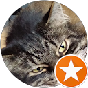 samTHEthird's profile image