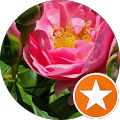 Renew Medical Aesthetics - Peterborough, Ontario