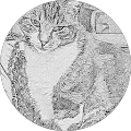 Avatar de Henri.a