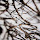 nespola project's profile photo